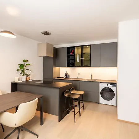 2-zi Zentral I Tiefgaragenstellplatz I Kongresscenter Und Staatstheater I Neubau I Garten Lägenhet